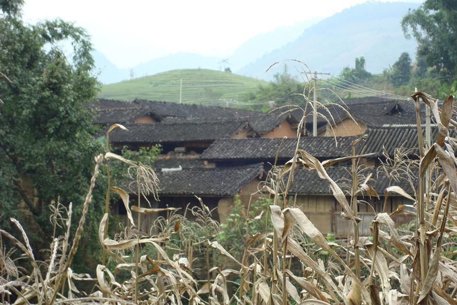 大泥塘自然村