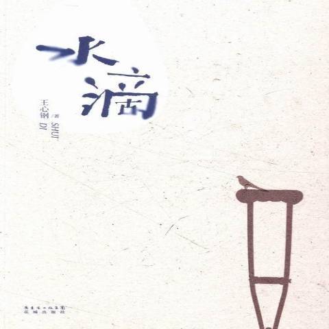 水滴(2014年花城出版社出版的圖書)