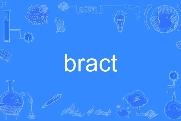 bract