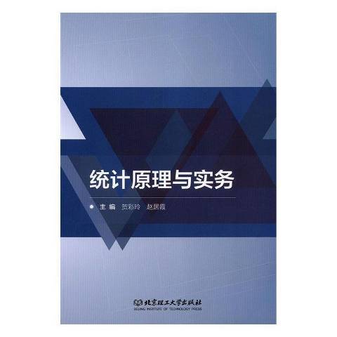 統計原理與實務(2019年北京理工大學出版社出版的圖書)