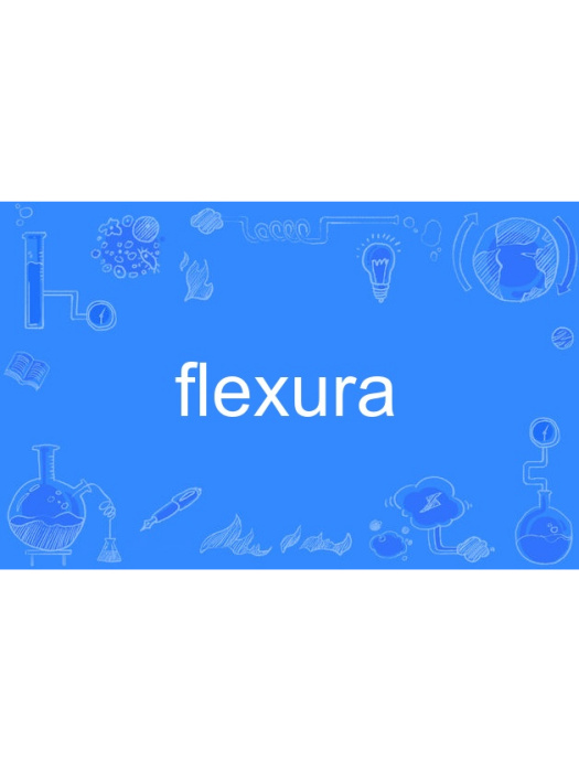 flexura