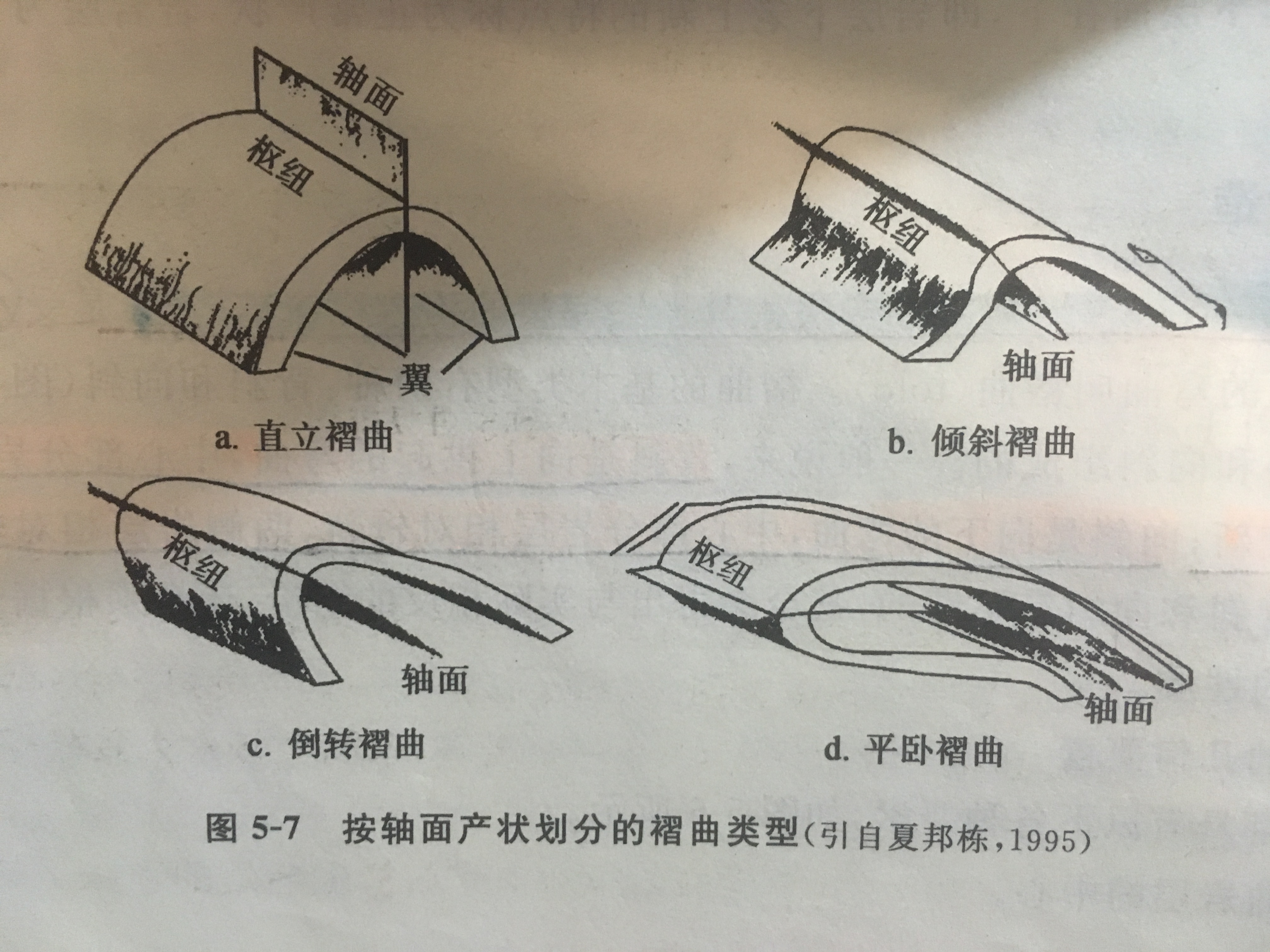 伏臥褶曲