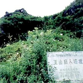 巫山龍骨坡遺址