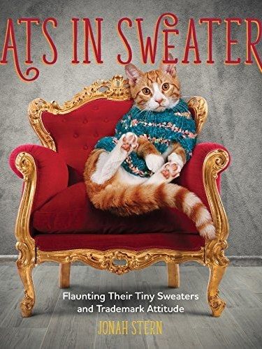 Cats in Sweaters: Flaunting Their Tiny Sweaters and Trademark Attitude