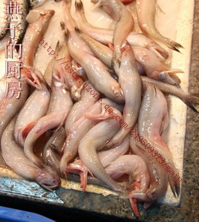 絲丁魚烙