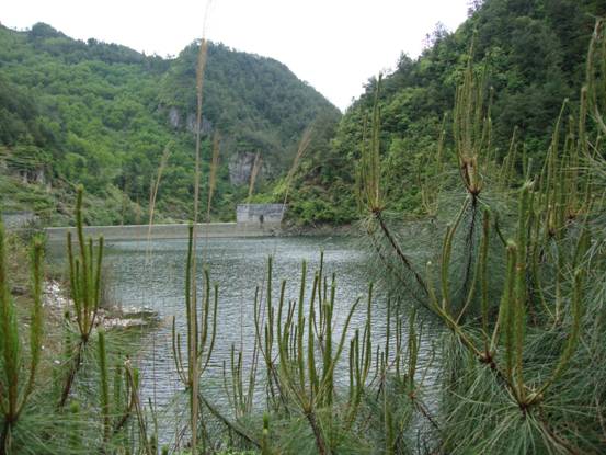 仁合村(黑龍江省伊春市嘉蔭縣下轄村)