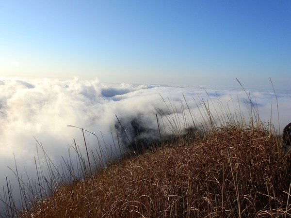 大南山雲海