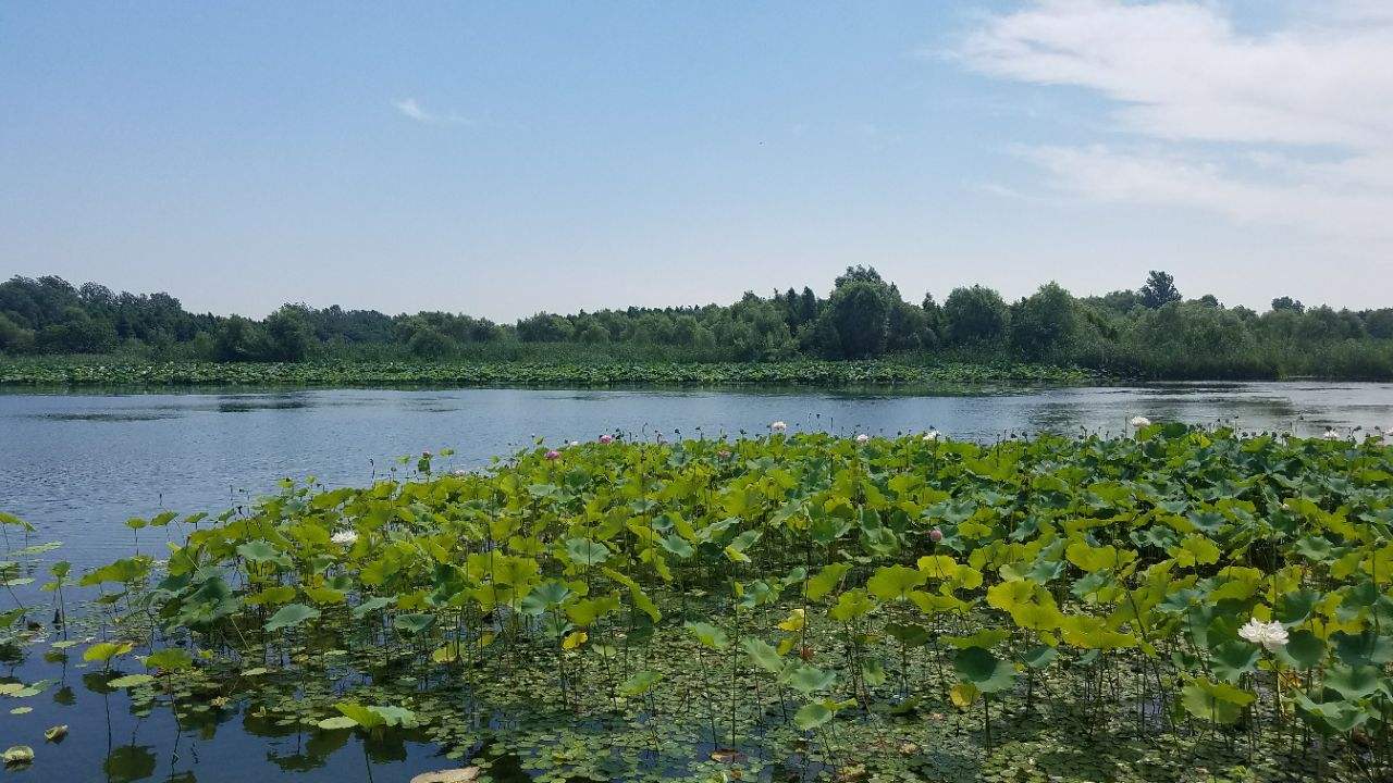 江蘇姜堰溱湖國家濕地公園(溱湖濕地公園)