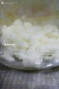 雪蓮菌版自製優酪乳西瓜奶昔