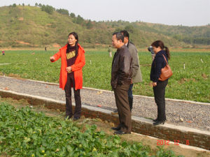 梧州大自然蔬菜基地