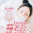 寵妻至上：boss老公撩不停