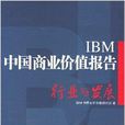 IBM中國商業價值報告：行業與發展