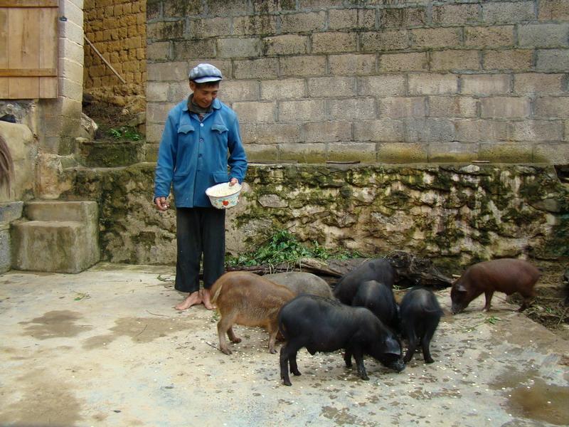 上里濯村畜牧養殖業