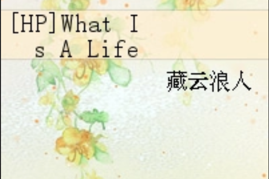 [HP]What Is A Life