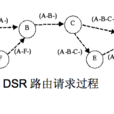 Dynamic Source Routing