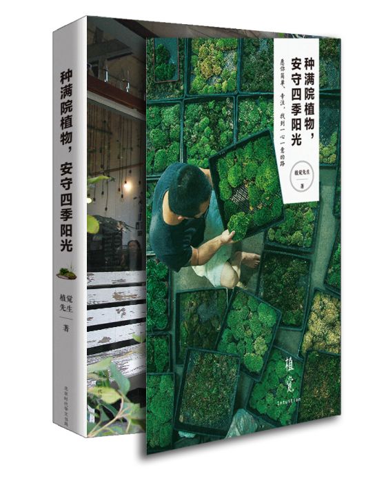 種滿院植物，安守四季陽光