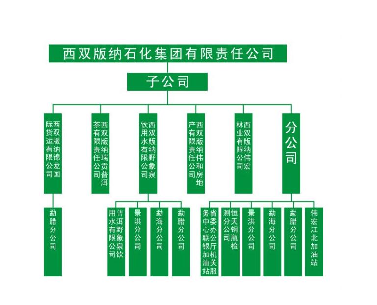 西雙版納石化集團有限責任公司