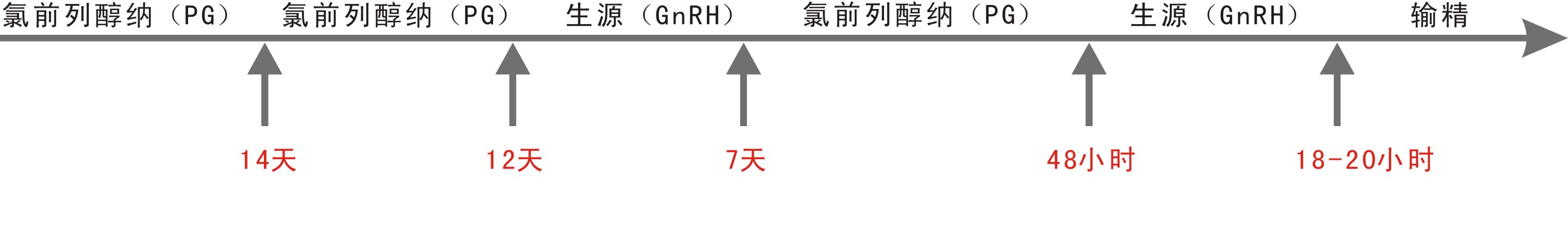 定時輸精程式