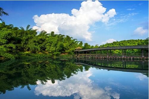 沐川國家級森林公園