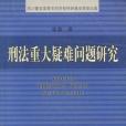 刑法重大疑難問題研究