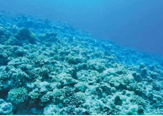 金銀島沉船遺址