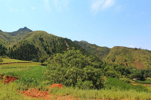 青山嶺古道