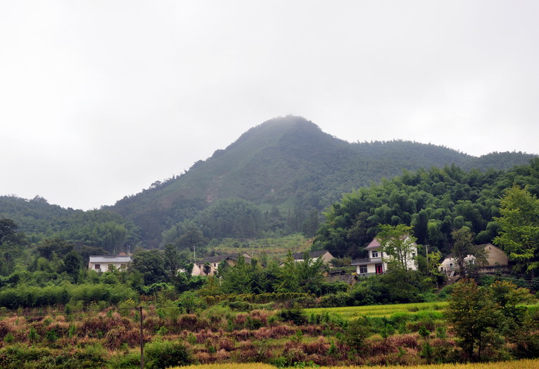 菥荻山區的佛回山