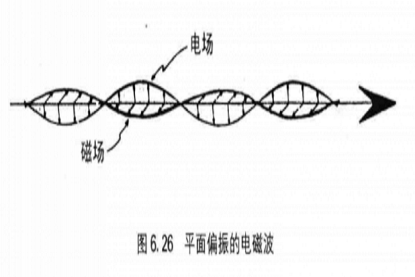 光子自旋器件