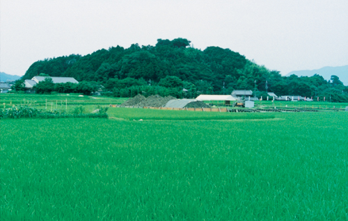 原蘇我蝦夷府邸所在地相片