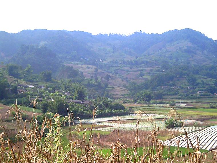 大村、半坡自然村