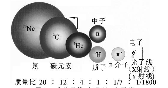 重粒子射線