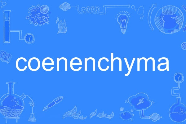 coenenchyma