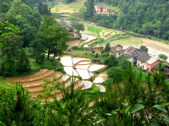 黃竹嶺景區