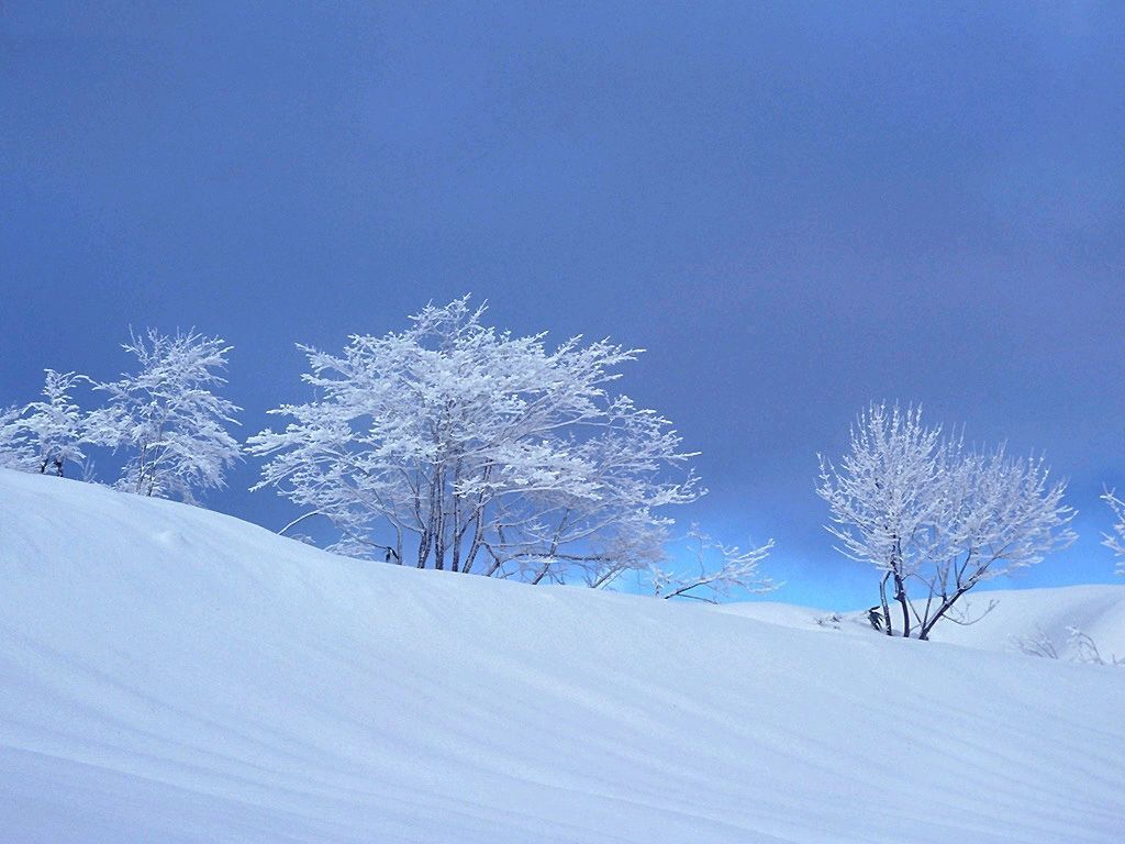 吳鹽勝雪