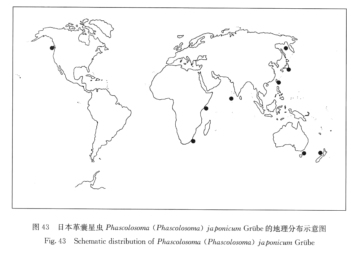 分布圖:日本革囊星蟲