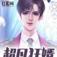 超凡狂婿(天下第二創作的網路小說)