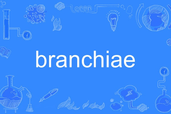 branchiae