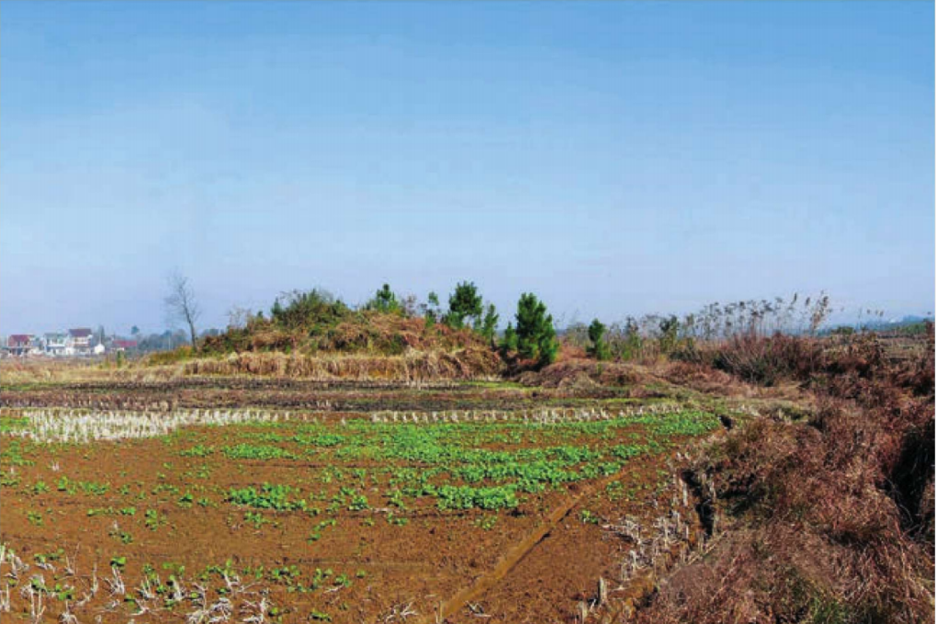 建平鎮土墩墓群