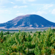 休眠火山(休眠態火山)