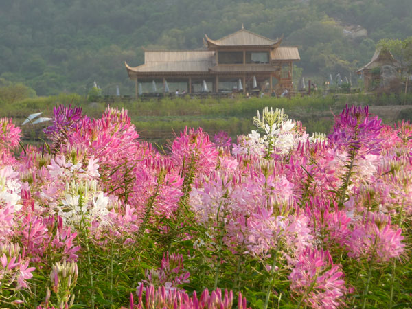 汕頭市丹櫻生態農業旅遊有限公司