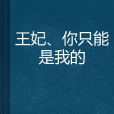 王妃、你只能是我的