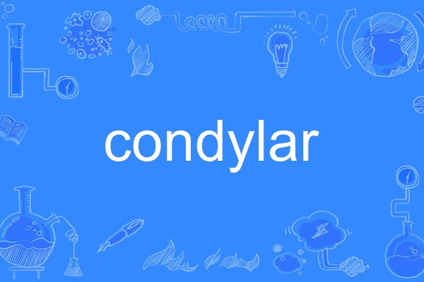 condylar