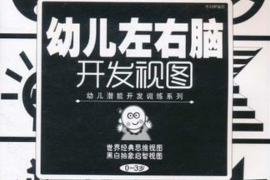 幼兒左右腦開發視圖：世界經典思維視圖·黑白抽象啟智視圖