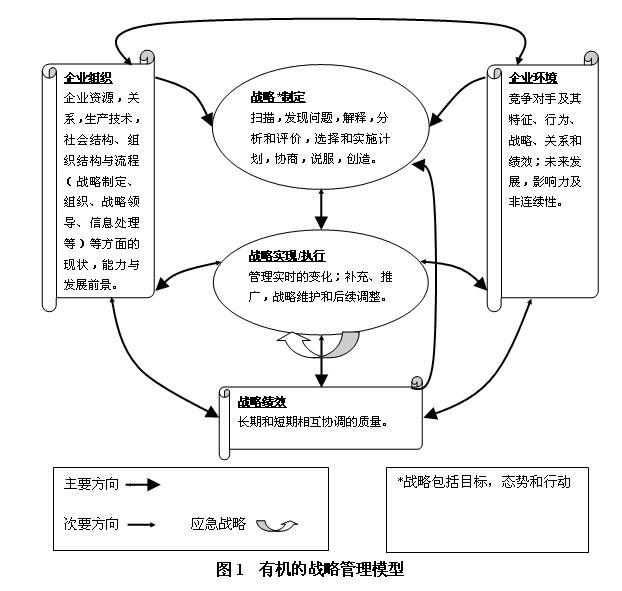 有機戰略管理模式