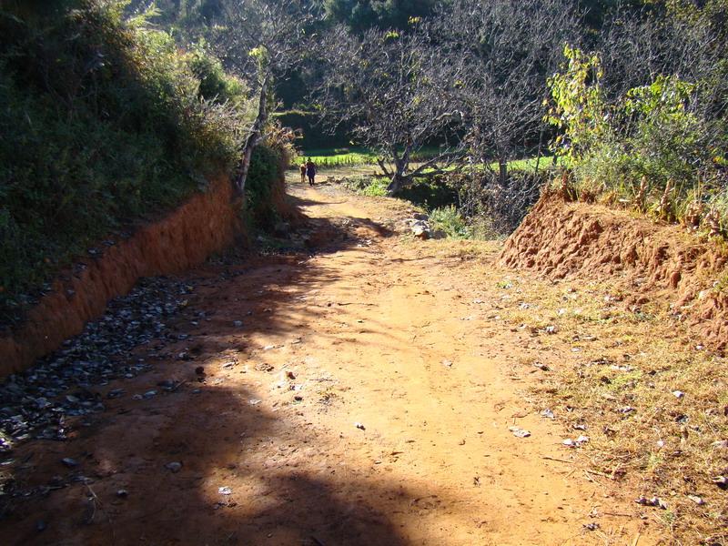 村間道路