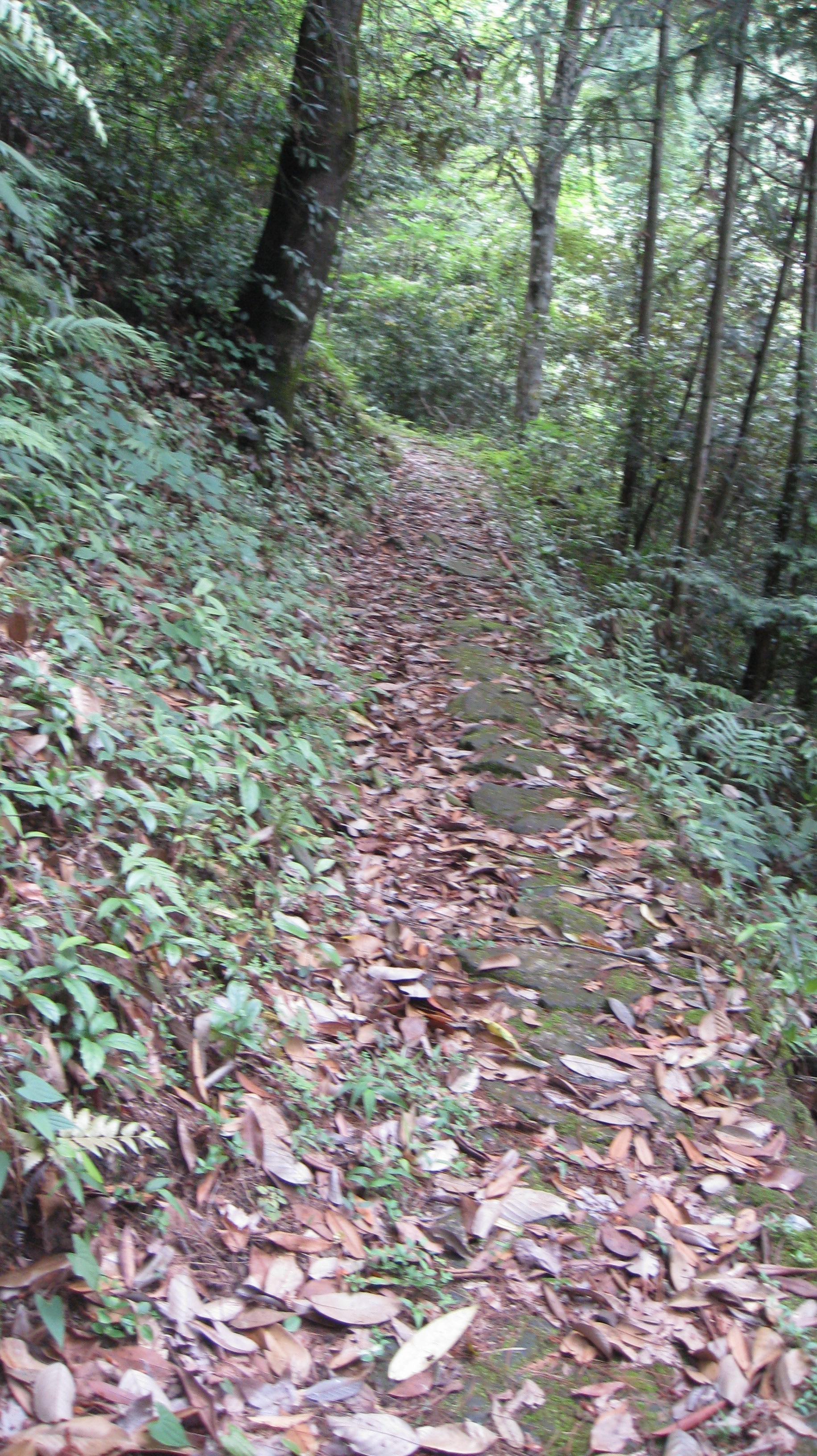 千秋門嶺古道