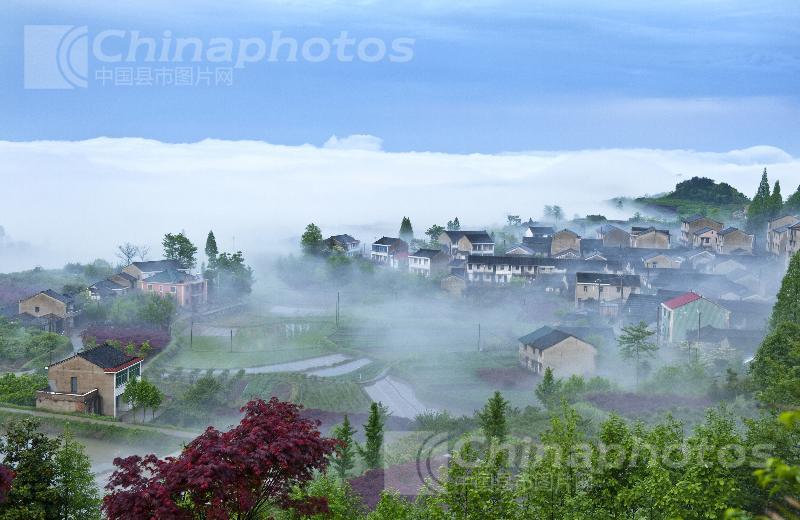 寧國市白鹿村