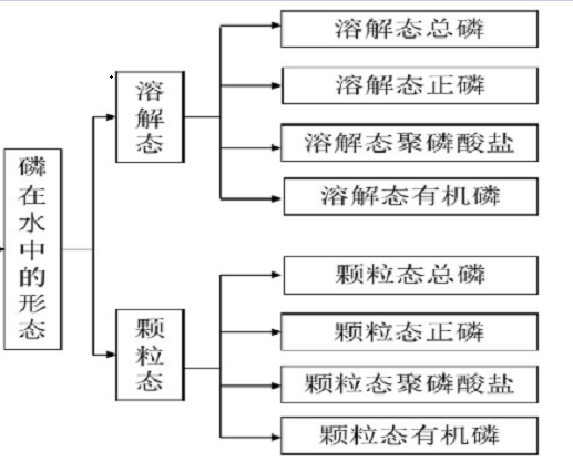 顆粒態磷