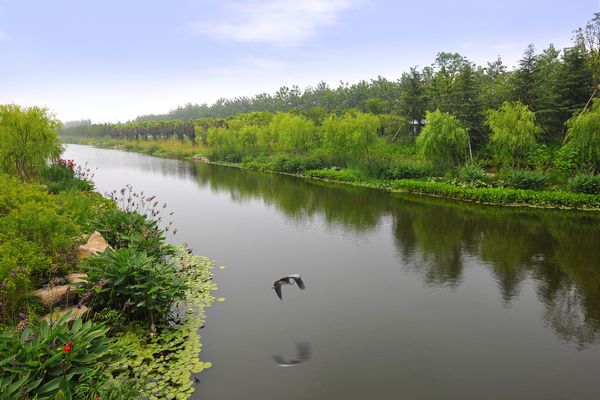 龍開河