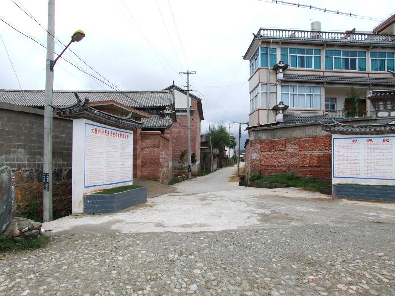 大營村(雲南省玉溪市江川區大街街道大營村)